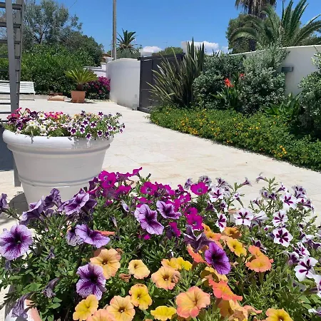 Katy Salento Guest house *